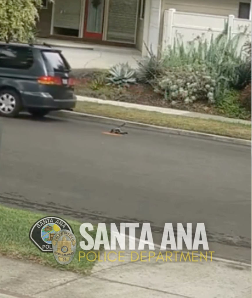 Surveillance footage showing a vehicle parked on a street near where a dog was abandoned, with the Santa Ana Police Department logo in the corner.