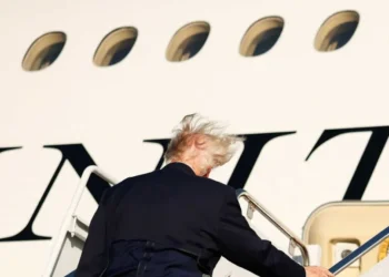 Trump’s comb-over left ‘flapping like a wounded bird’ in brutal Air Force One photo