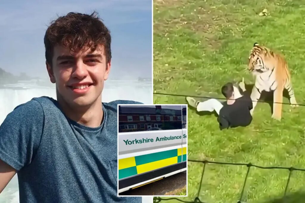 UK ambulance staff viewed medical records of ex-child actor fatally mauled by tiger without ‘legitimate reason’: report