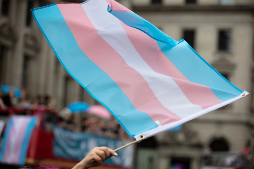 A transgender flag being waved at an LGBT pride march.
