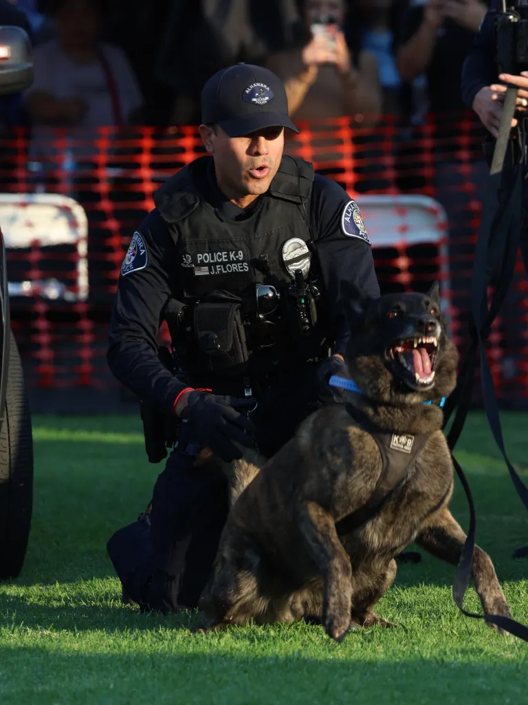 Alhambra Police Department K-9 officer J. Flores kneels on the grass behind K9 Otis, who barks with its mouth open.