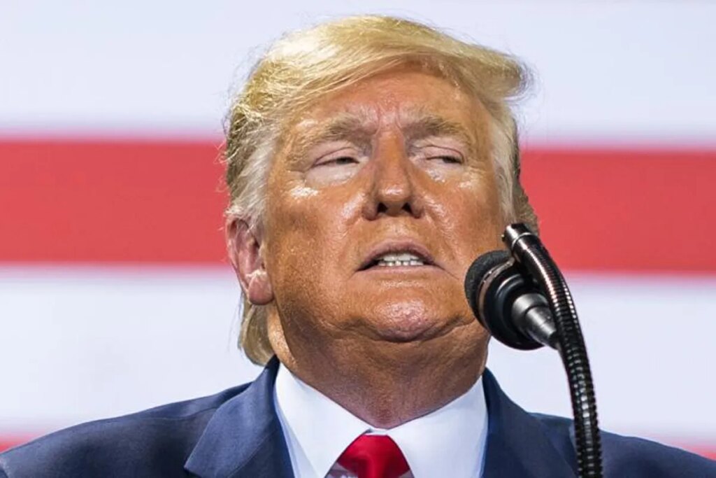 ‘Five alarm fire’: Trump’s niece hits panic button over uncle’s ‘plan to rig the midterms’