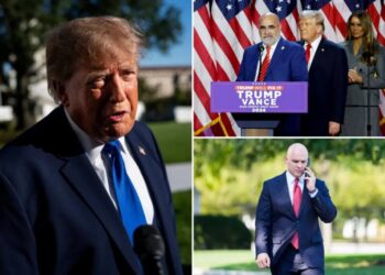 Chris LaCivita and James Blair donate full Bosnian consulting fee to Trump presidential library
