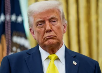 ‘Clip it and run it on a loop’: Trump’s new boast hands Dems a gift just before midterms