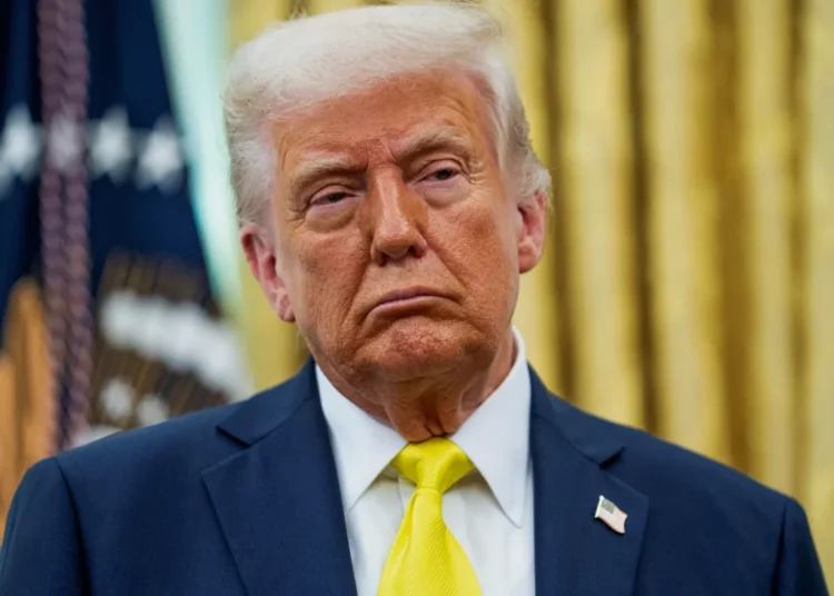 ‘Clip it and run it on a loop’: Trump’s new boast hands Dems a gift just before midterms