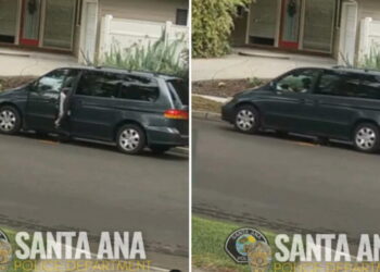 O.C. woman who lured puppy with food to run him over was caught on video, federal prosecutors say