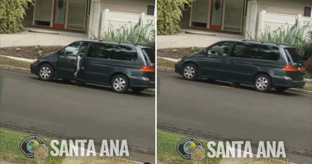 O.C. woman who lured puppy with food to run him over was caught on video, federal prosecutors say