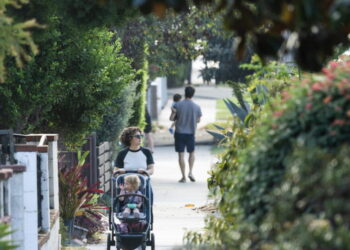 Neighbor who allegedly fed coyote involved in Atwater Village attack could be charged