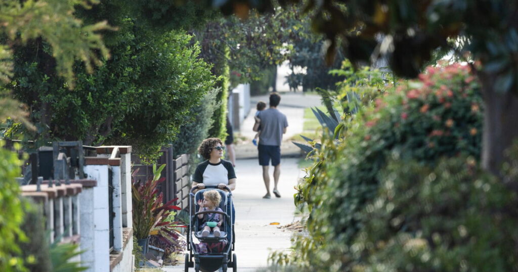 Neighbor who allegedly fed coyote involved in Atwater Village attack could be charged