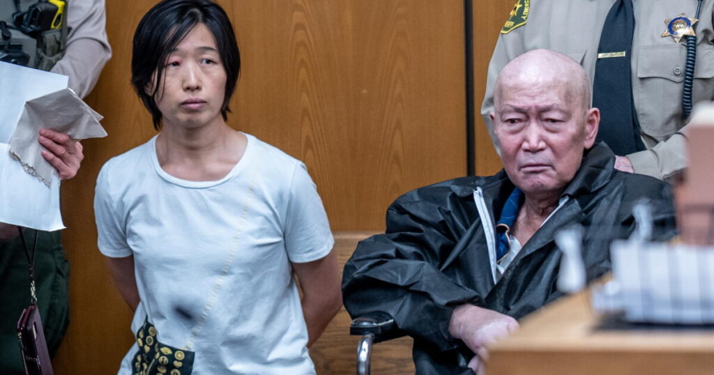 Arcadia surrogacy mansion mom fled U.S. after previous abuse charge, prosecutors allege