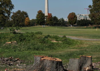 Judge extends court-ordered block on Trump’s renovation plans for public golf course in Washington