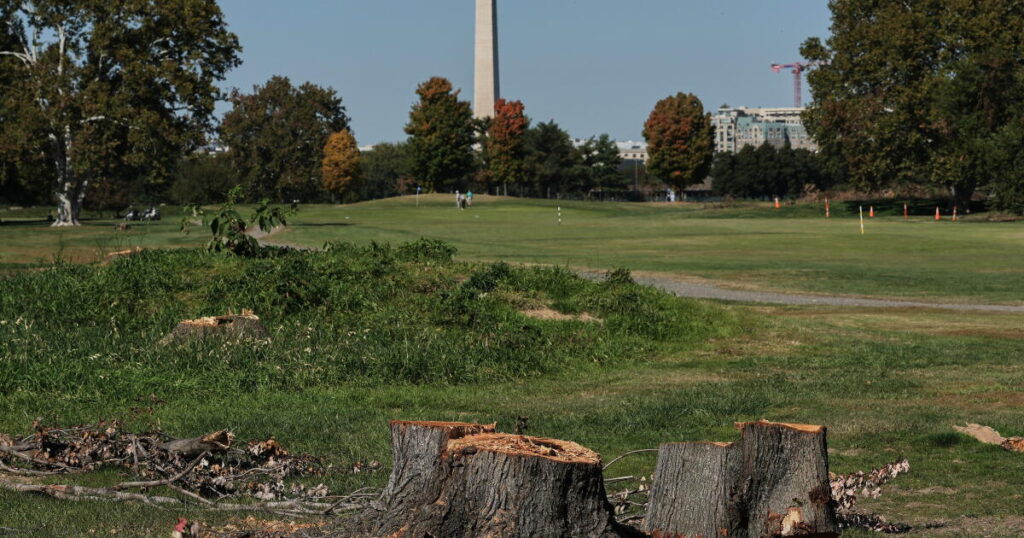 Judge extends court-ordered block on Trump’s renovation plans for public golf course in Washington