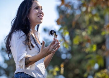 Allegations against Rep. Jimmy Gomez fuel momentum for DSA-backed challenger Gonzales-Torres
