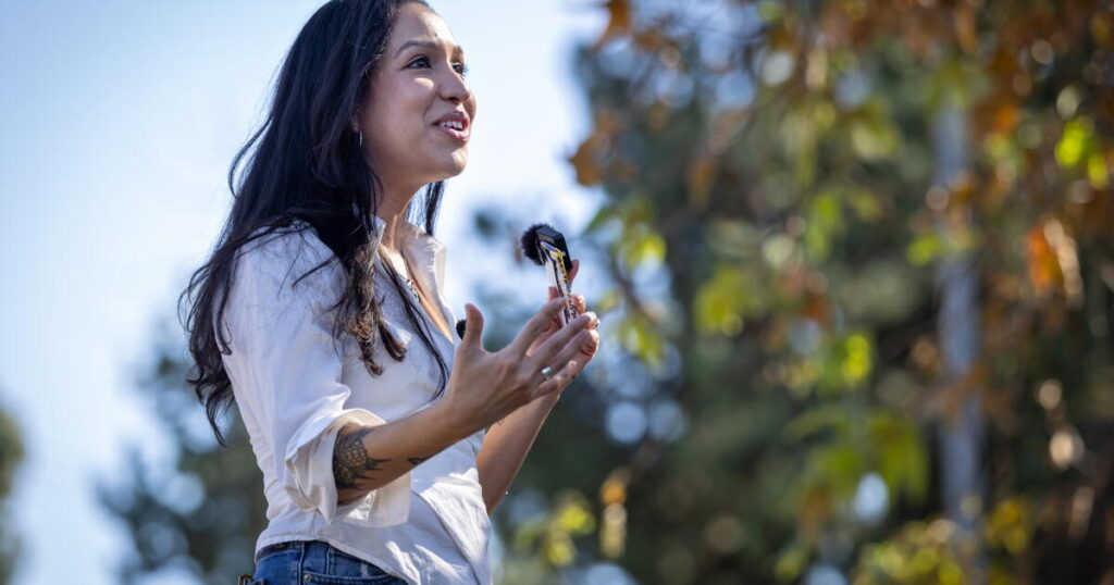 Allegations against Rep. Jimmy Gomez fuel momentum for DSA-backed challenger Gonzales-Torres
