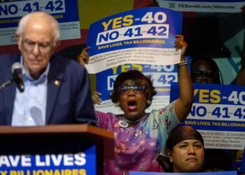 Support dwindles for wealth tax, voter ID ballot measures, new poll shows