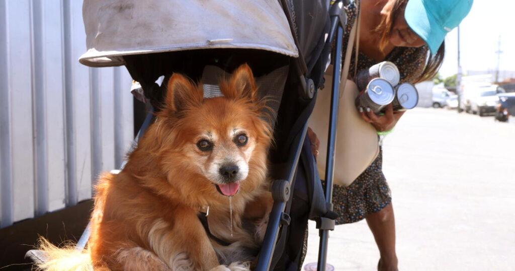 The spay-neuter mandate does needless harm to Angelenos