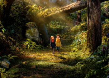 ‘Wildwood’ is an exquisite handmade adventure set in a forest of warring factions