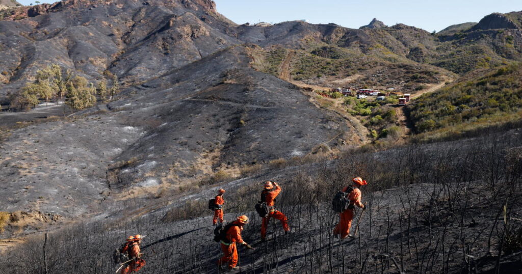 Just 8 years after Woolsey, a new fire ignites in its scar — too soon for both residents and plants