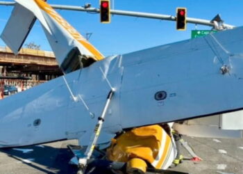 Airplane crushed after nosediving onto California street. Somehow, 2 adults and a child survive