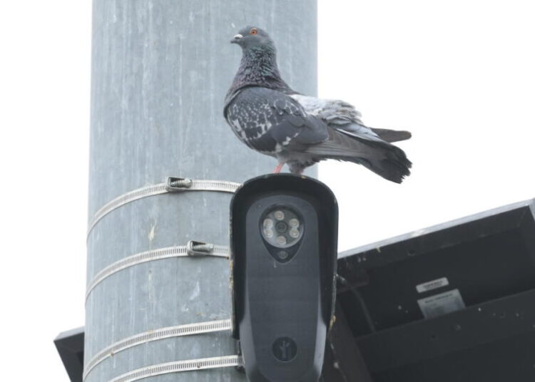 Amid Flock backlash, LAPD moves forward with license plate readers from another company