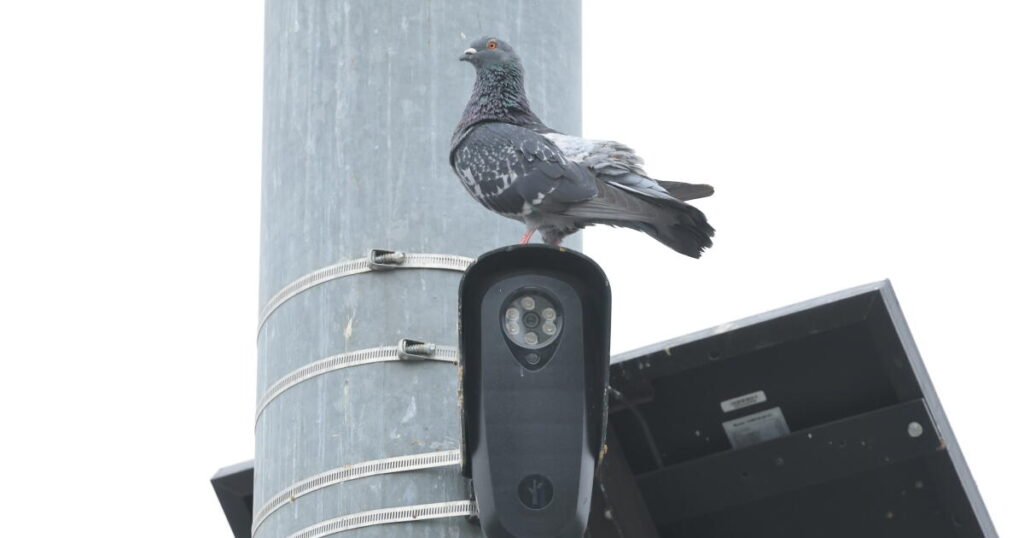 Amid Flock backlash, LAPD moves forward with license plate readers from another company