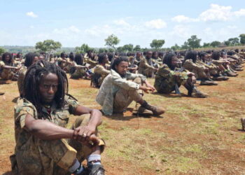 Attacks kill at least 60 Orthodox Christians in Ethiopia, church says