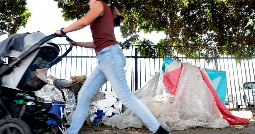 Ethics complaint filed over ads falsely portraying Raman promoting homeless camps