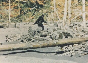 Was Bigfoot a hoax? Through evidence and testimonials, ‘Capturing Bigfoot’ argues yes