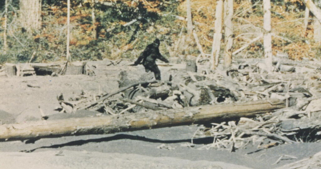 Was Bigfoot a hoax? Through evidence and testimonials, ‘Capturing Bigfoot’ argues yes