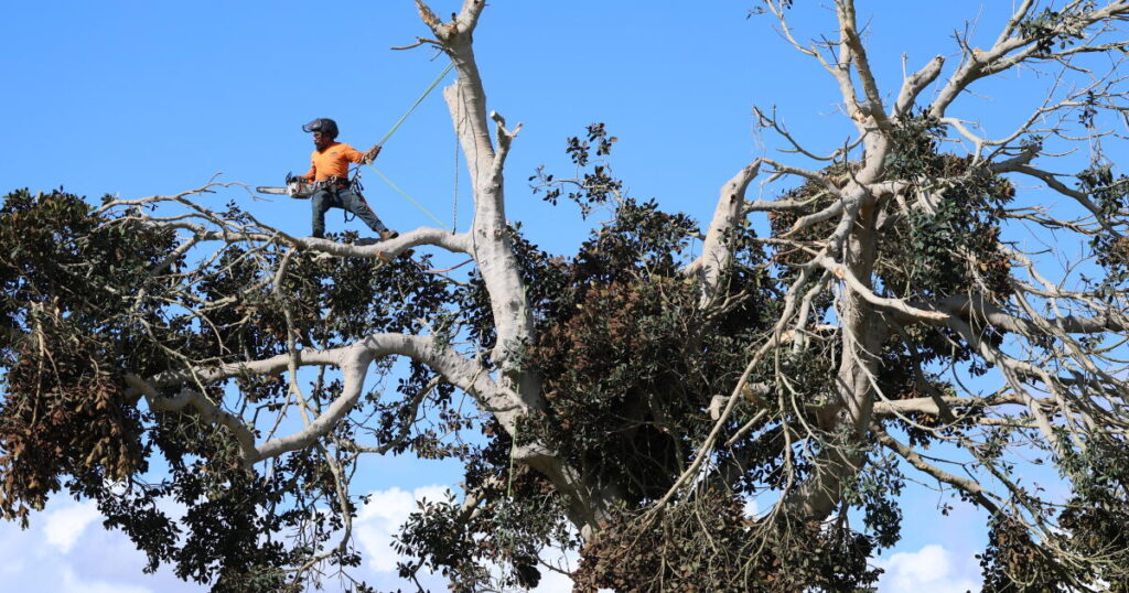 Weather-rocked San Clemente faces latest threat: a tornado