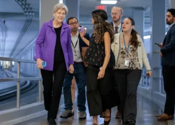 Elizabeth Warren sparks Trump official meltdown after cornering him on watchdog purge: NYT
