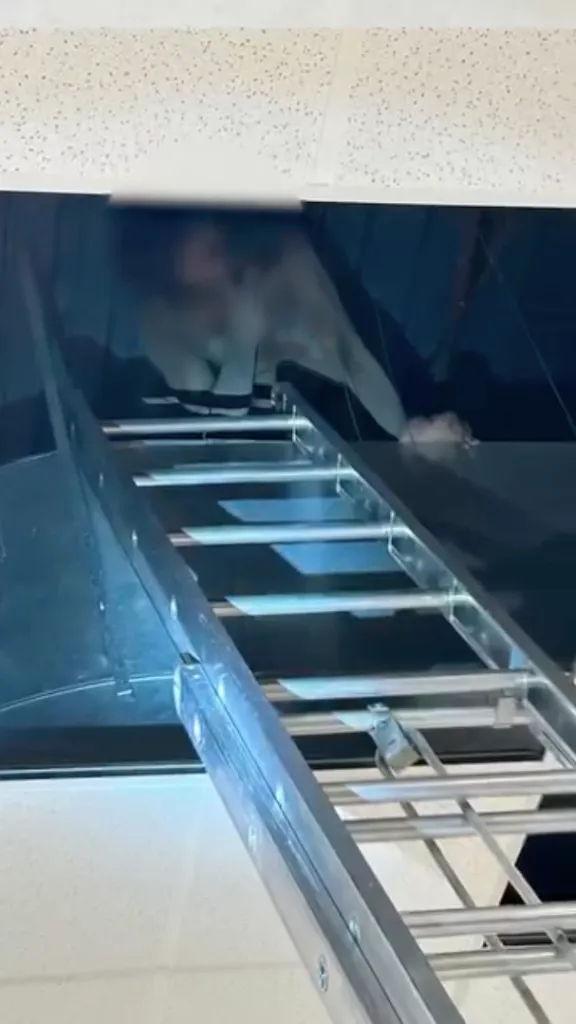 A ladder reaching up to a suspect hiding in a ceiling tile.