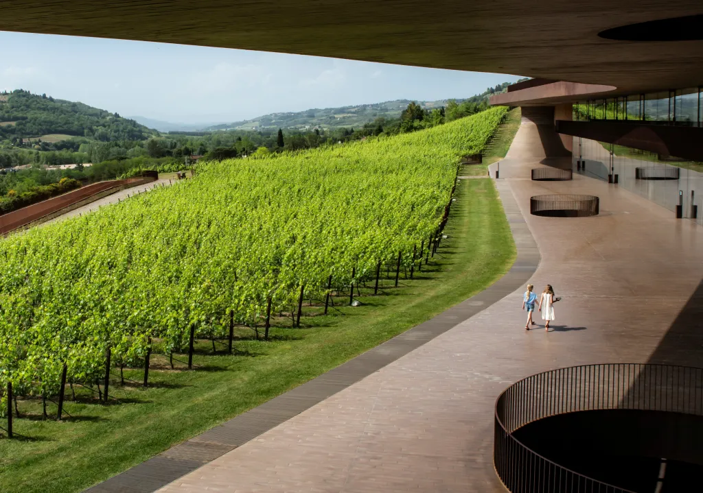 A view of vineyards and the exterior of the Marchesi Antinori winery in Bargino.