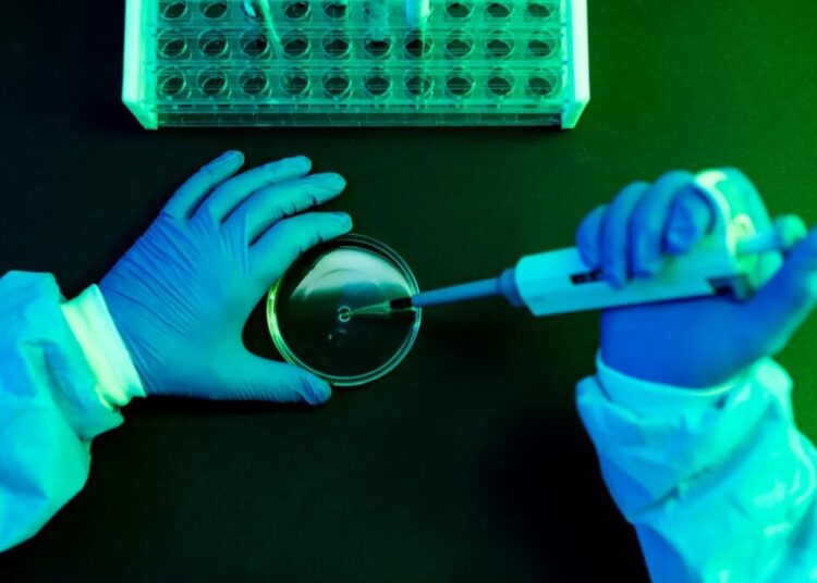 What to Know About Shamonda Virus Following the First Reported Human Infection