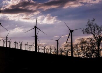 Pentagon accused of sneaky dodge around judge’s order to restart wind projects: report