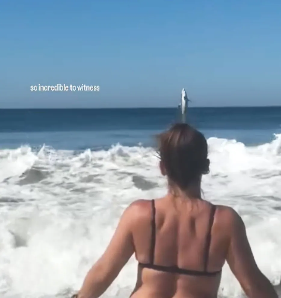 A woman at the beach gets photobombed by a great white shark breaching the water in the distance.
