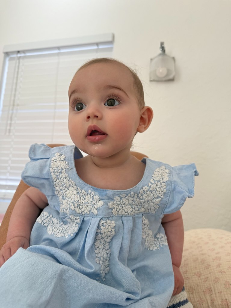 A baby wearing a light blue dress with white embroidery.