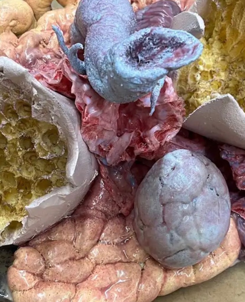 A close-up of a monstrous costume featuring grotesque textures, including fleshy pink and purple organs, textured yellowish cavities, and a pale, egg-like sphere.