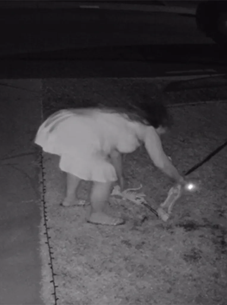 A security camera captures a woman in a dress stealing a skeleton decoration from a front yard at night.