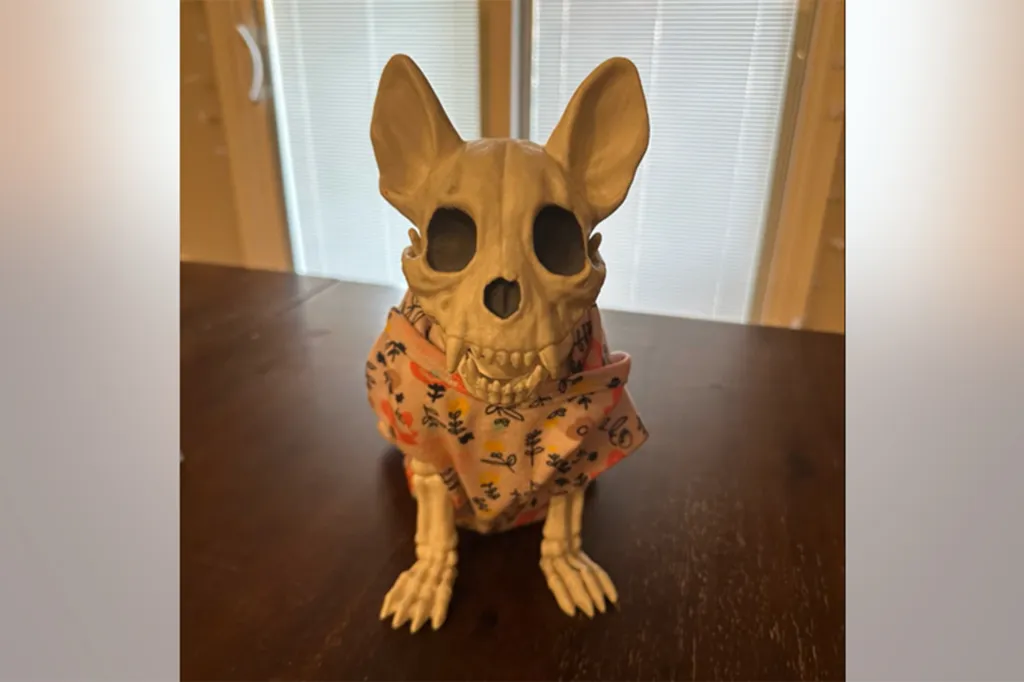 A dog skeleton wearing a floral bandana sits on a table.