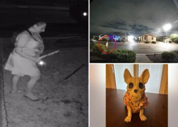 Ghoulish thief caught on camera stealing Halloween decorations from family’s lawn: report
