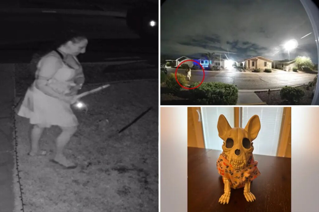 Ghoulish thief caught on camera stealing Halloween decorations from family’s lawn: report